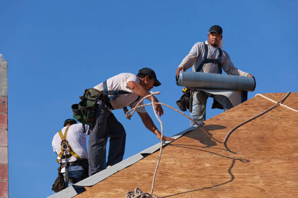 Best Commercial Roofing Services  in Oak Leaf, TX
