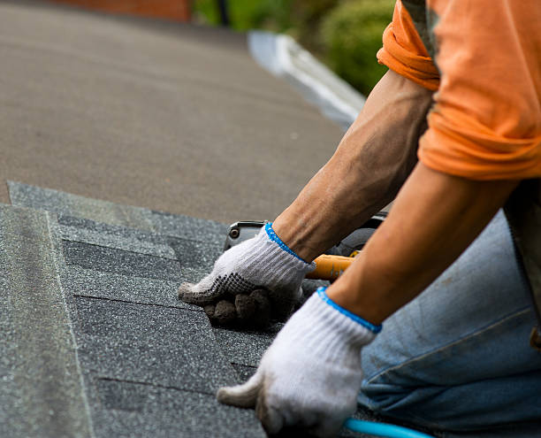Best Roof Maintenance Services  in Oak Leaf, TX