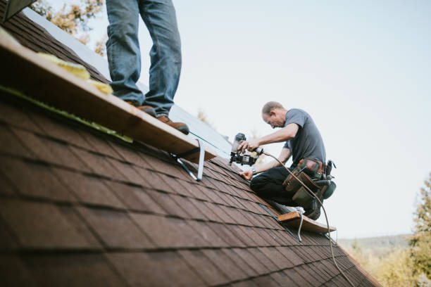 Best Roof Gutter Cleaning  in Oak Leaf, TX